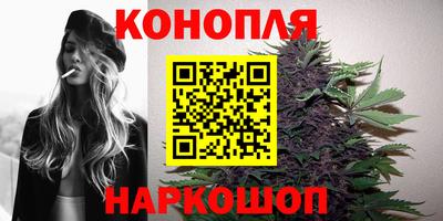 молекула духа Новозыбков