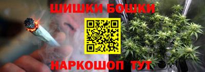 молекула духа Новозыбков