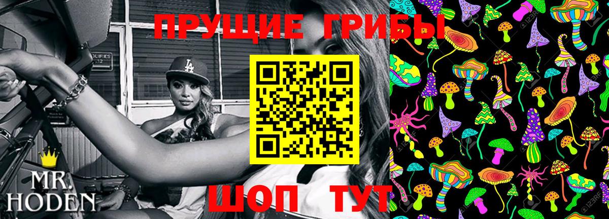 Хабаровск  Галлюциногенные грибы Psilocybe  Вход с VPN  Галлюциногенные грибы мицелий 