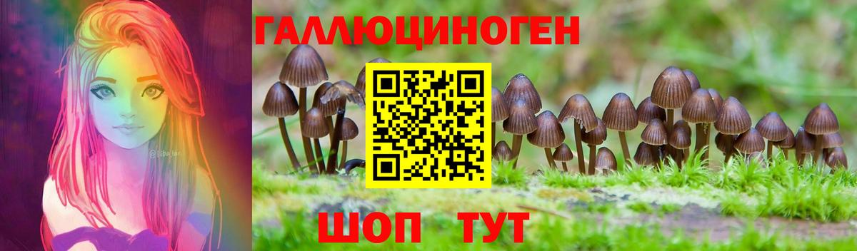 Галлюциногенные грибы MAGIC MUSHROOMS  Хабаровск 